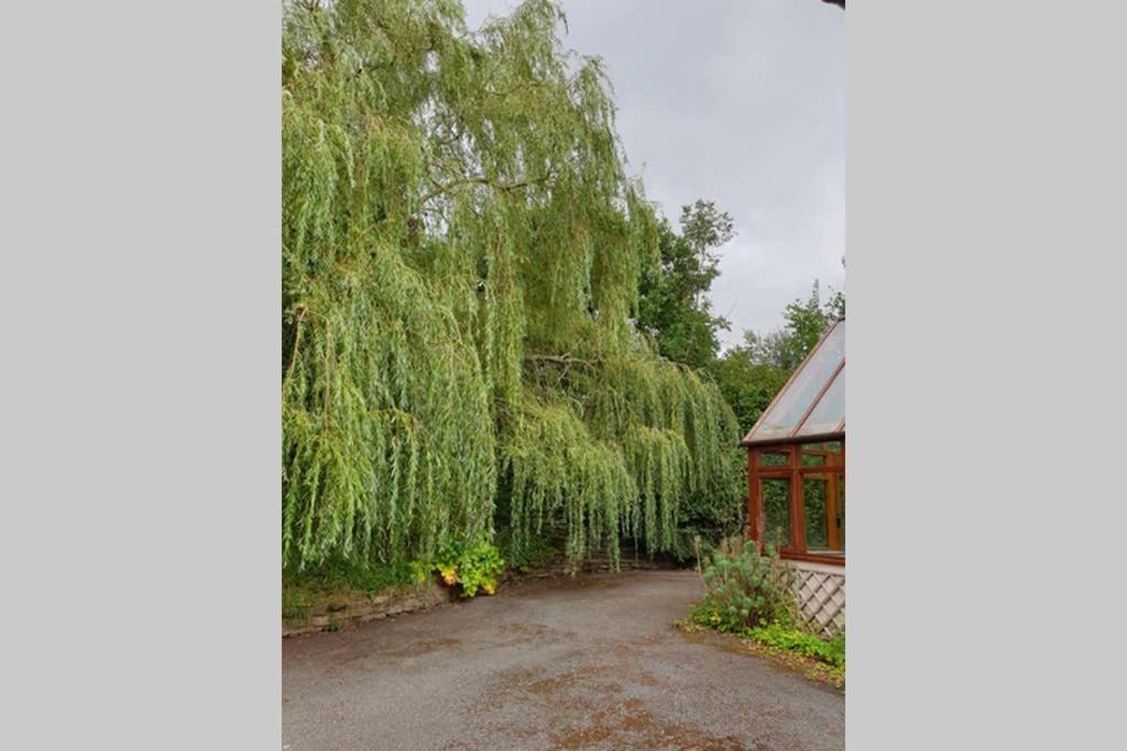 Willow Lodge Abergavenny Exteriör bild