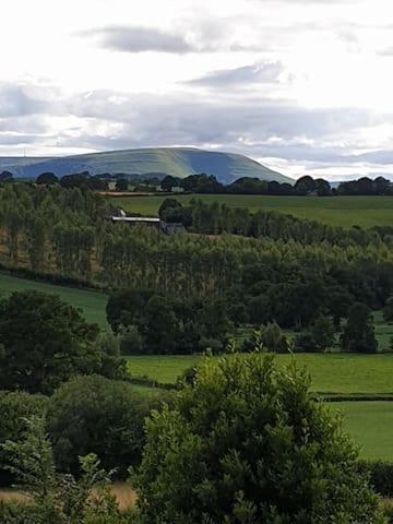 Willow Lodge Abergavenny Exteriör bild